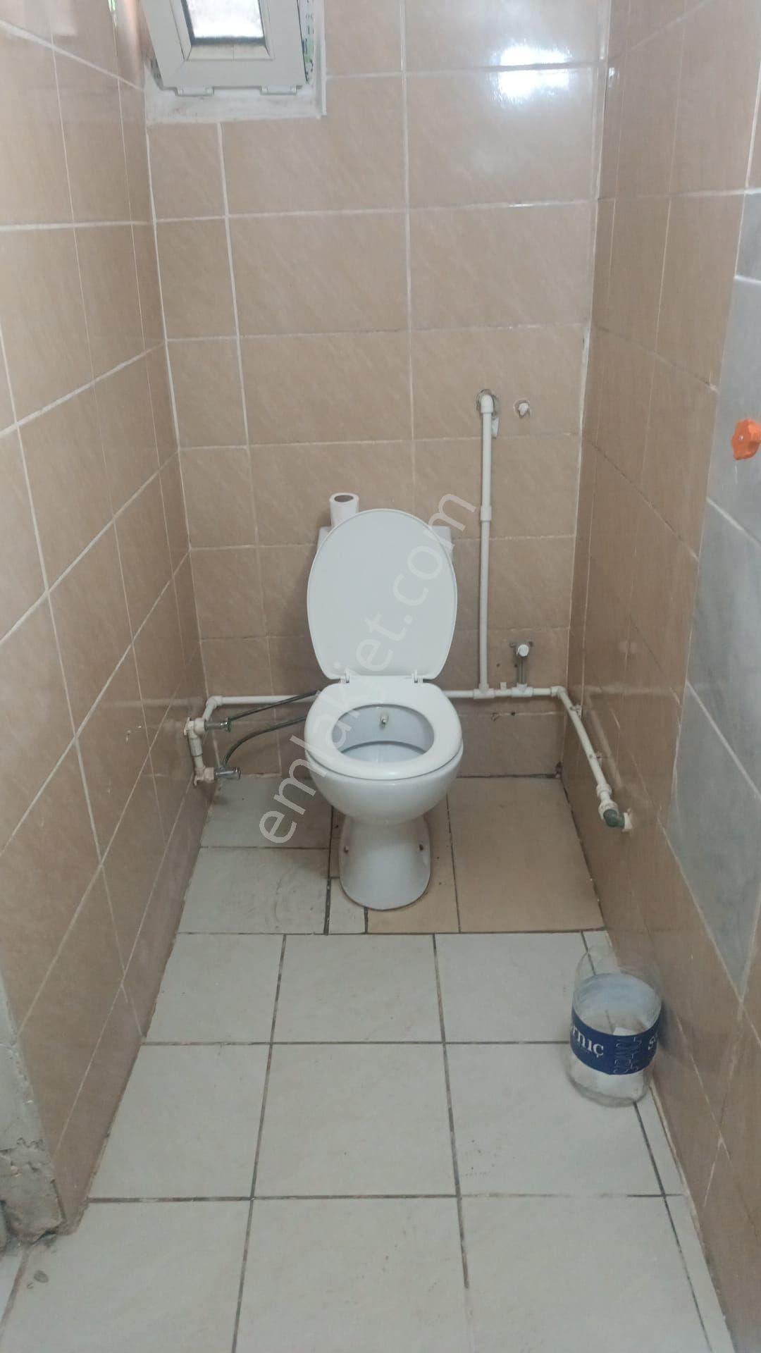 Kiralık Beykoz Tokatkoyunde Müstakil Bahçeli Ev - Görsel 11