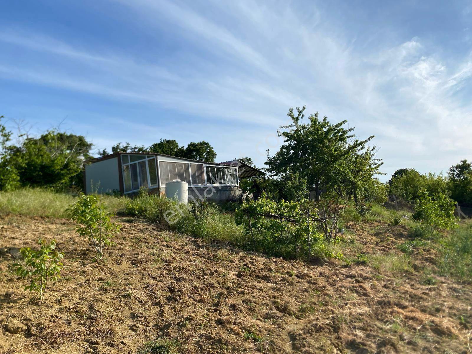 Delux'den Şarköy'de İçinde Bağ Evi Bulunan 5.698 M2 Satılık Arsa - Görsel 3
