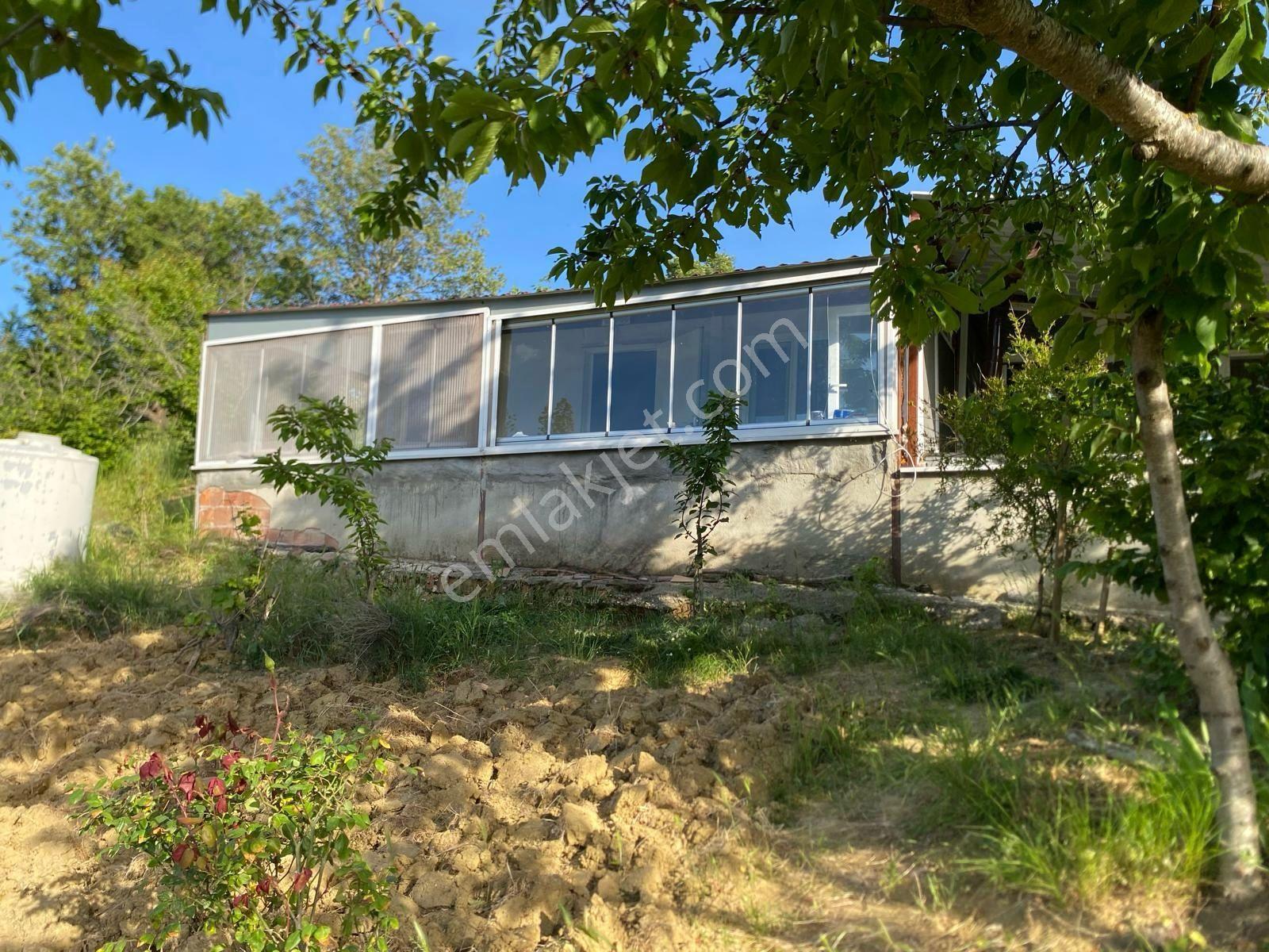 Delux'den Şarköy'de İçinde Bağ Evi Bulunan 5.698 M2 Satılık Arsa - Görsel 4