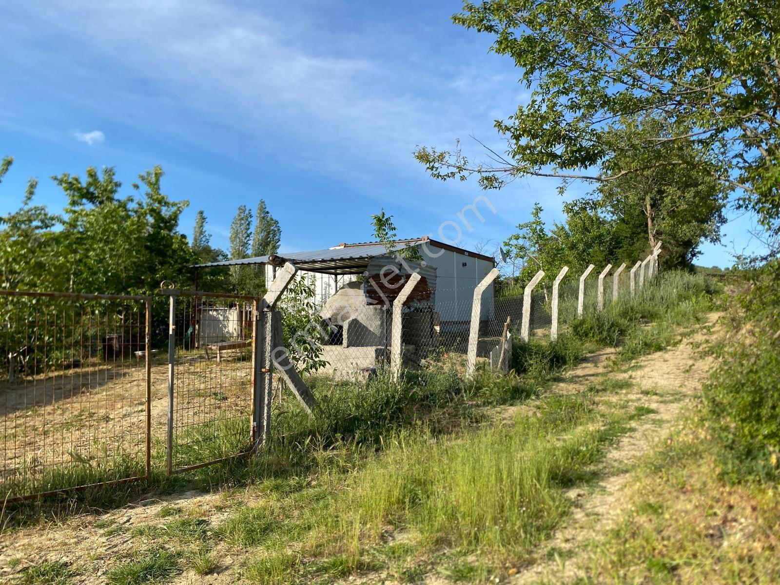 Delux'den Şarköy'de İçinde Bağ Evi Bulunan 5.698 M2 Satılık Arsa - Görsel 15