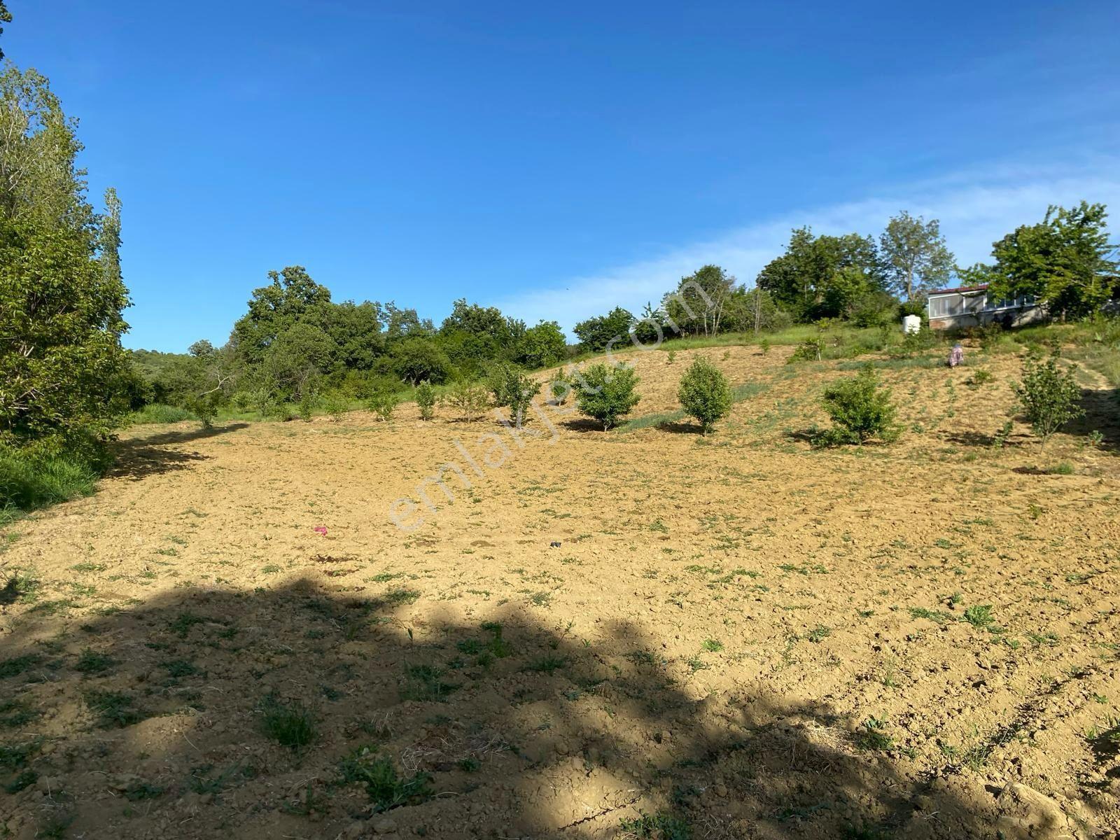 Delux'den Şarköy'de İçinde Bağ Evi Bulunan 5.698 M2 Satılık Arsa - Görsel 11