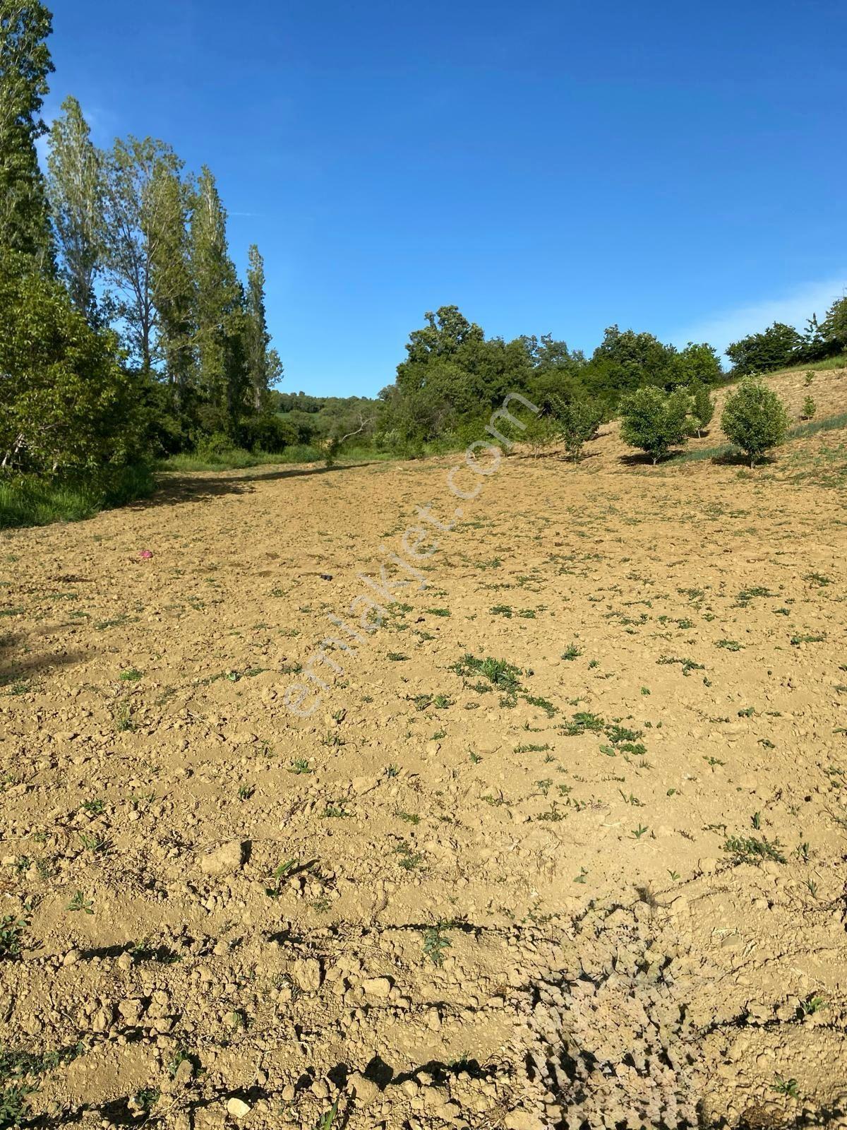 Delux'den Şarköy'de İçinde Bağ Evi Bulunan 5.698 M2 Satılık Arsa - Görsel 12
