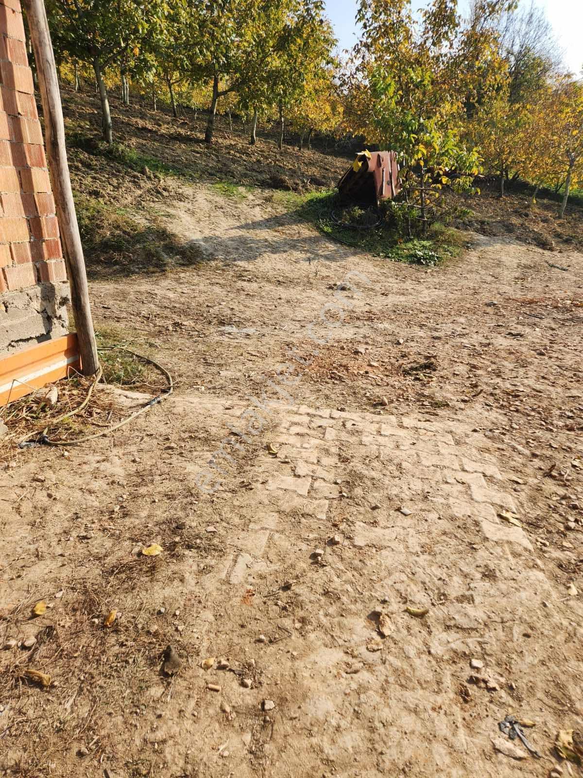 İnegöl Konurlar'da Satılık 14,600 M2 Yapı Kayıt Belgeli Cevizlik - Görsel 10