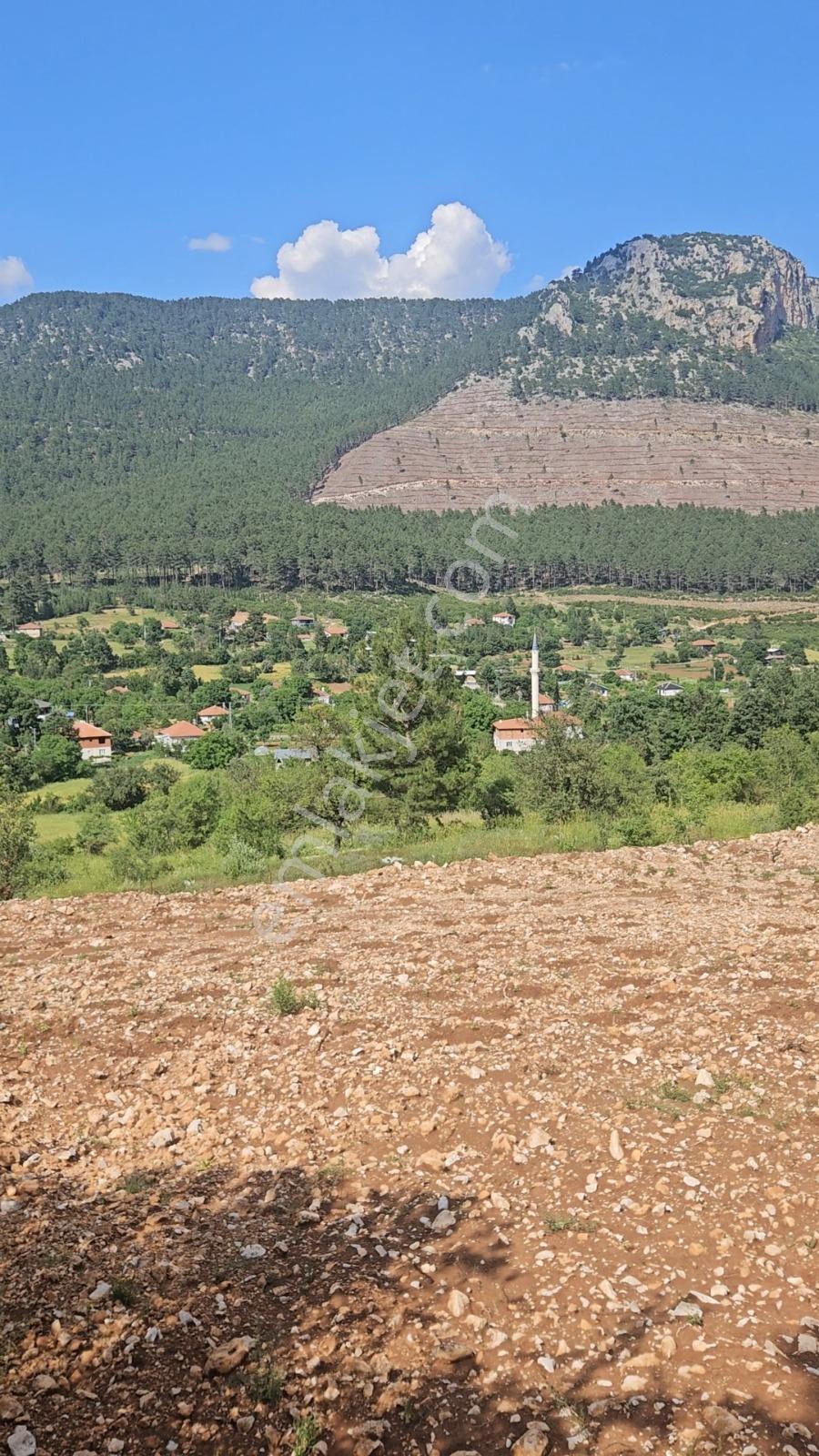 Bucak Beş Konakt'a 6.500 M2 Arsa - Görsel 10