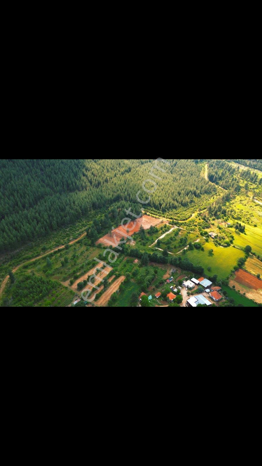 Bucak Beş Konakt'a 6.500 M2 Arsa - Görsel 5