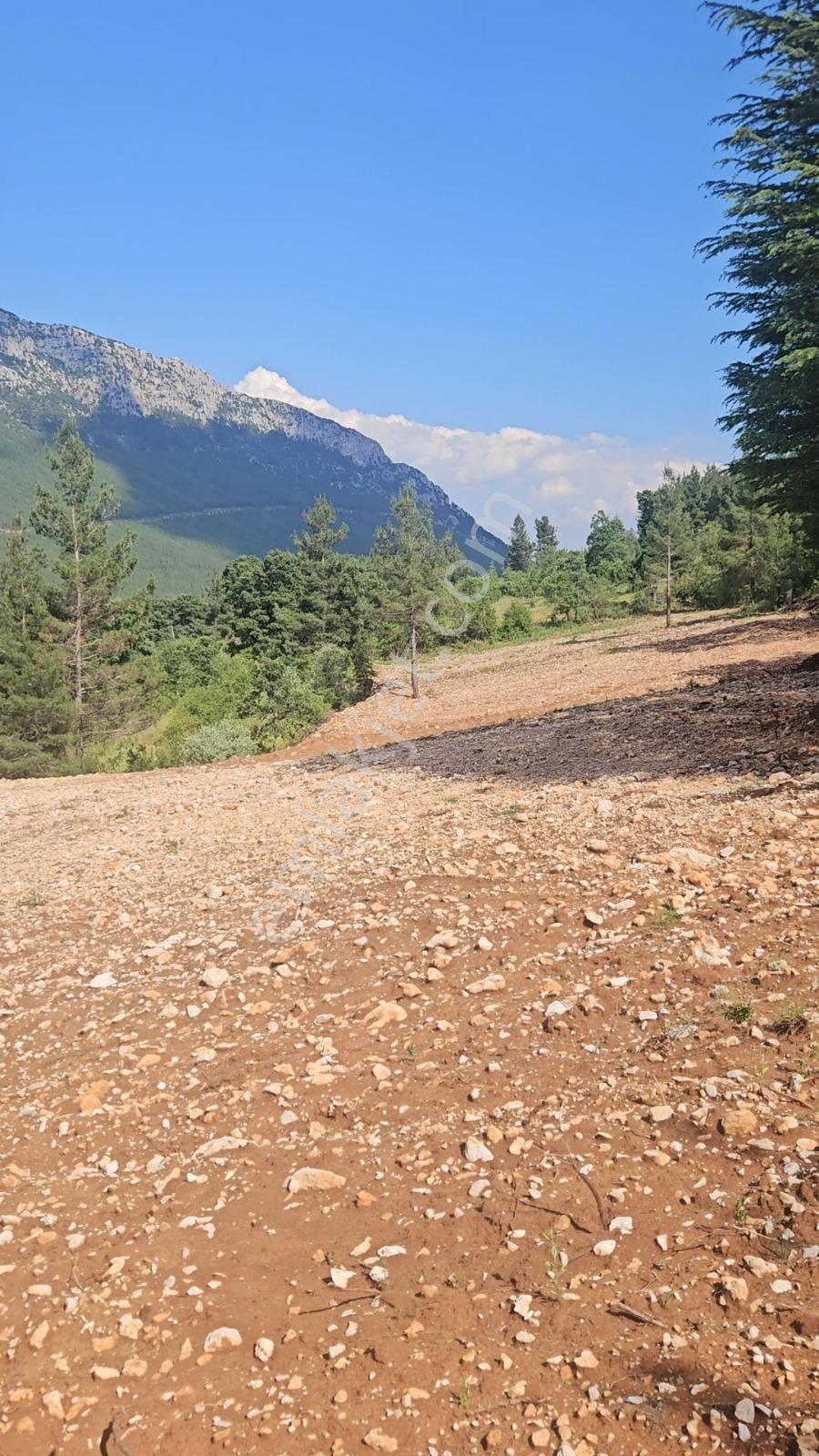 Bucak Beş Konakt'a 6.500 M2 Arsa - Görsel 9