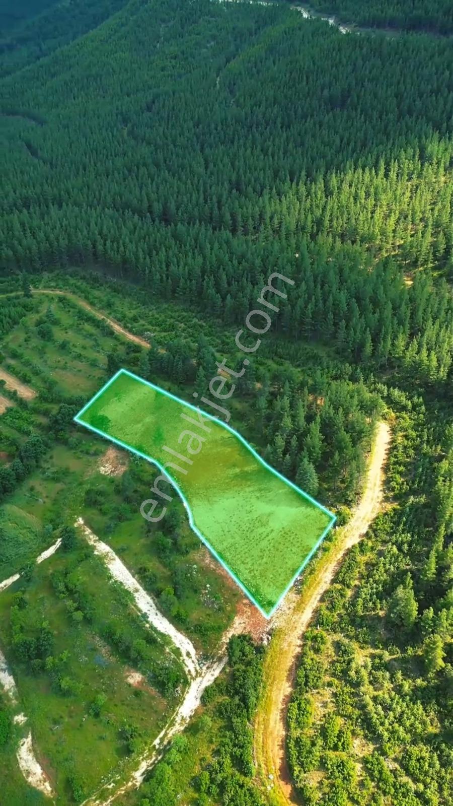 Bucak Beş Konakt'a 6.500 M2 Arsa - Görsel 12