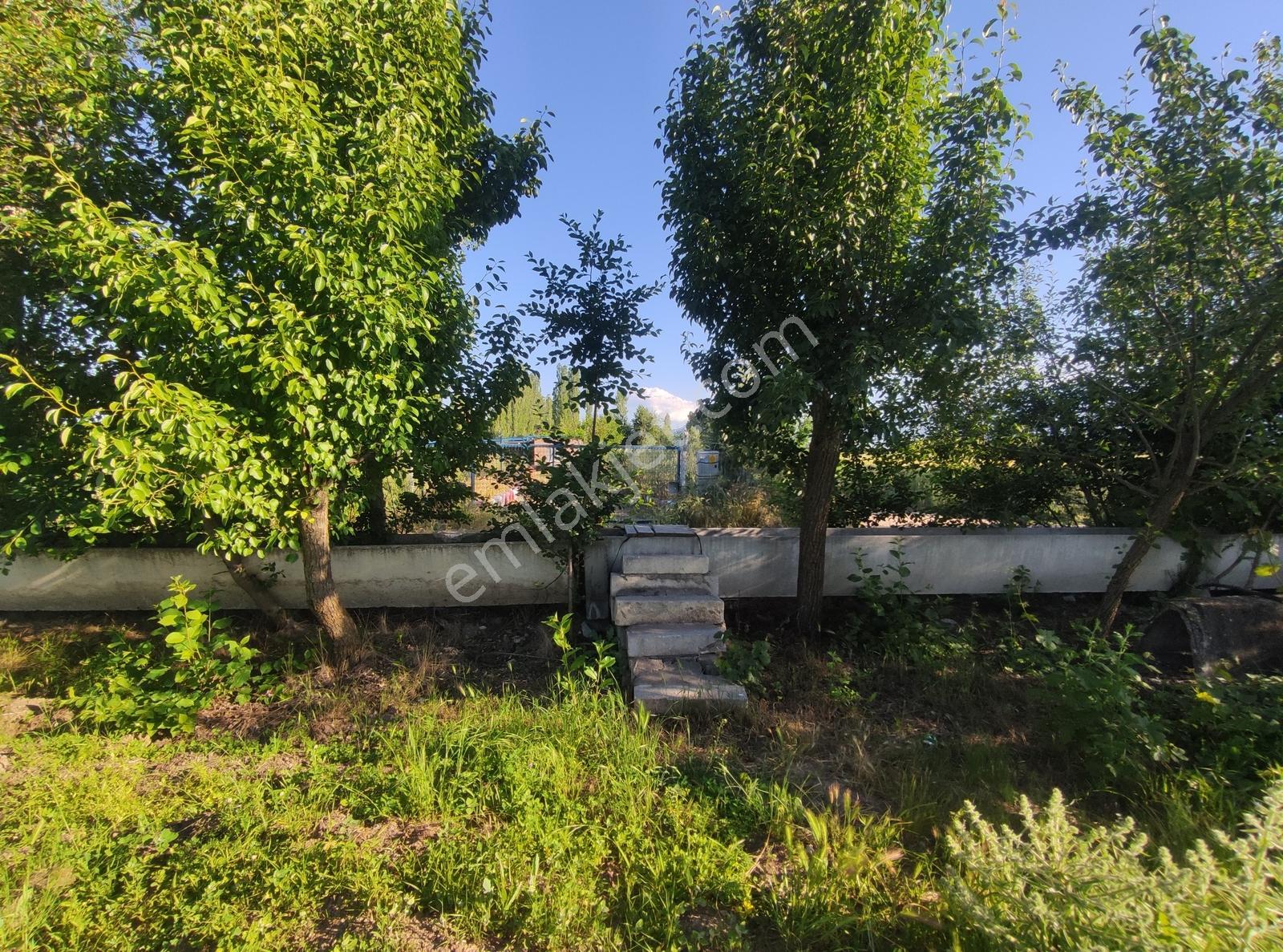 Özpınar,dan Hertürlü Meyve Ağacı Yolu-suyu Olan Bahçe 1300 M2 - Görsel 6