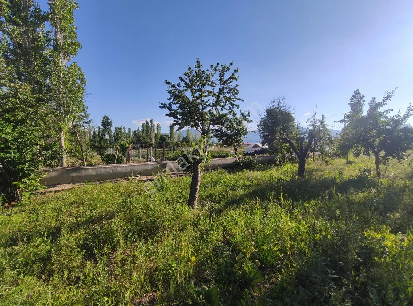 Özpınar,dan Hertürlü Meyve Ağacı Yolu-suyu Olan Bahçe 1300 M2 - Görsel 3