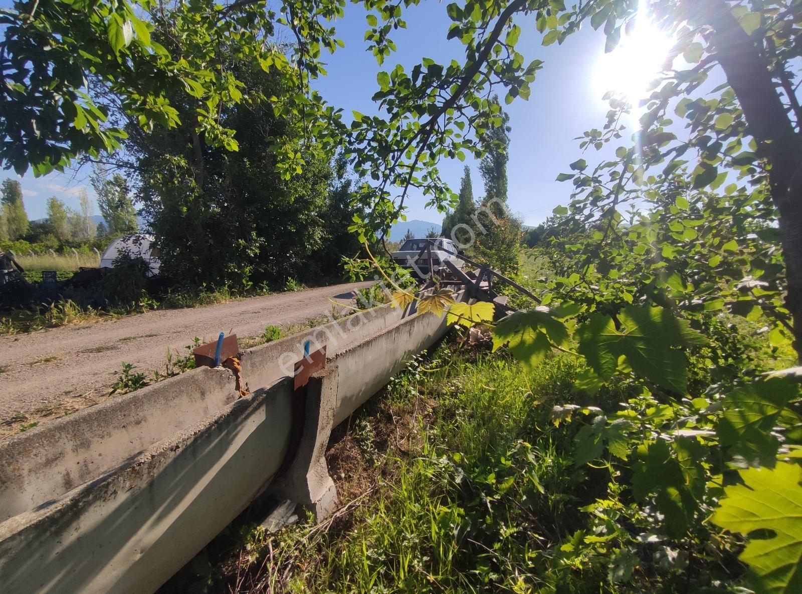 Özpınar,dan Hertürlü Meyve Ağacı Yolu-suyu Olan Bahçe 1300 M2 - Görsel 5