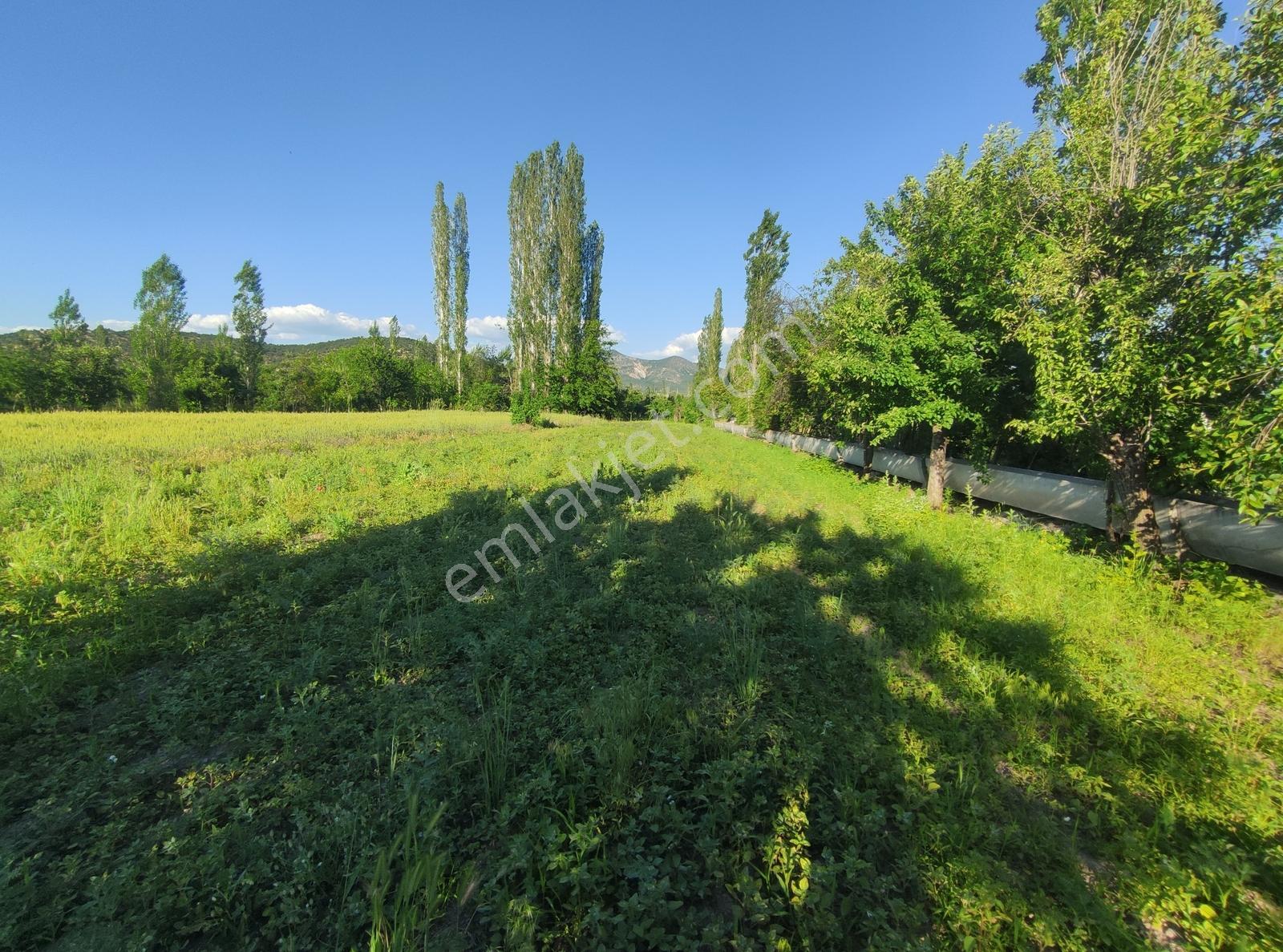 Özpınar,dan Hertürlü Meyve Ağacı Yolu-suyu Olan Bahçe 1300 M2