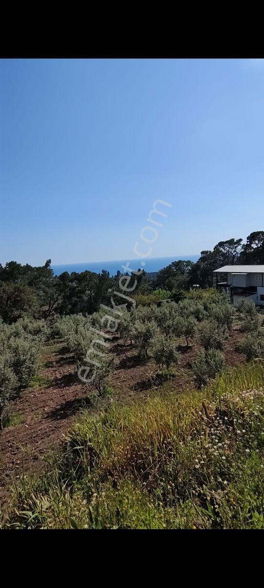 Adrasan Mavikentte Deniz Manzaralı Arsa - Görsel 5