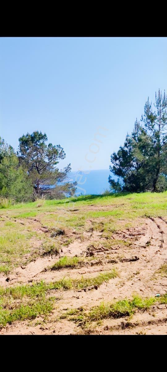 Adrasan Mavikentte Deniz Manzaralı Arsa - Görsel 4