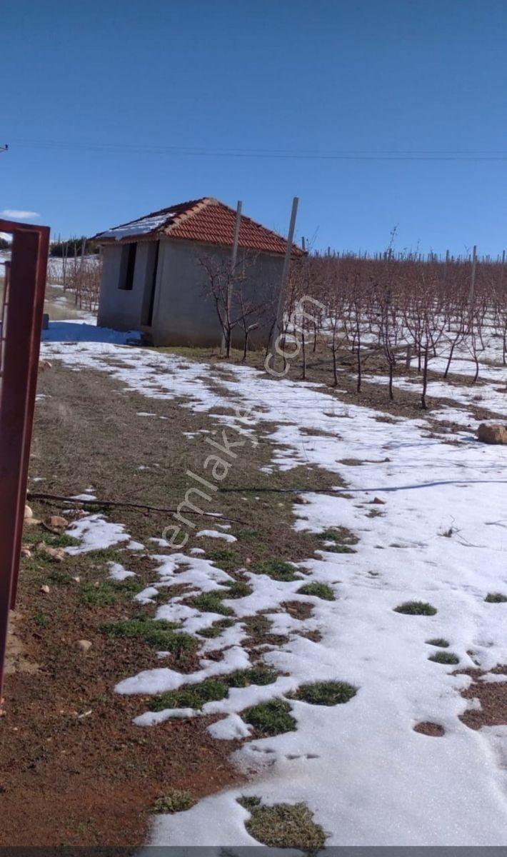 Antalya -elmalı -kocapınar-çakmakda Satılık 20.804m² Arazi - Görsel 5