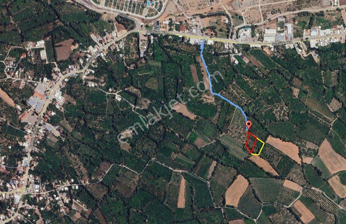 Konyaaltı Bahtılı Da 3.5 Dönüm Portakal Bahçesi İmara Yakın