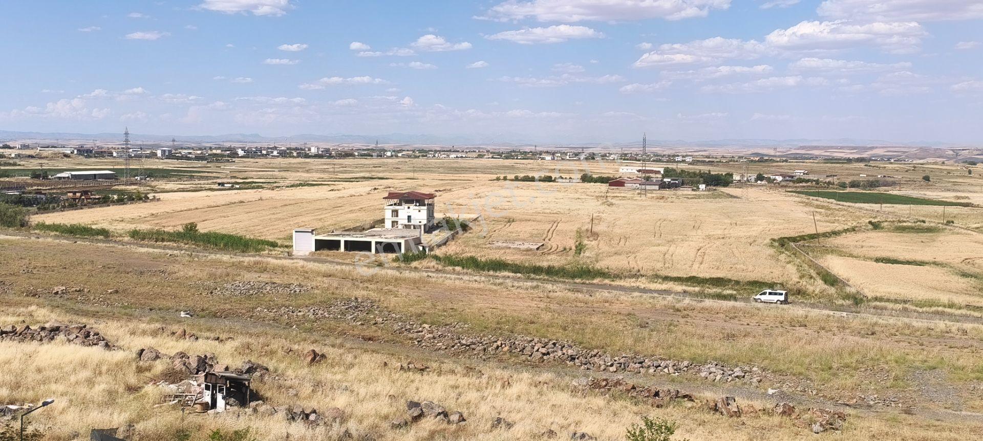Üçkuyu 808 Toki Konutları 3+1 Sahibinden Kiralık Daire - Görsel 3