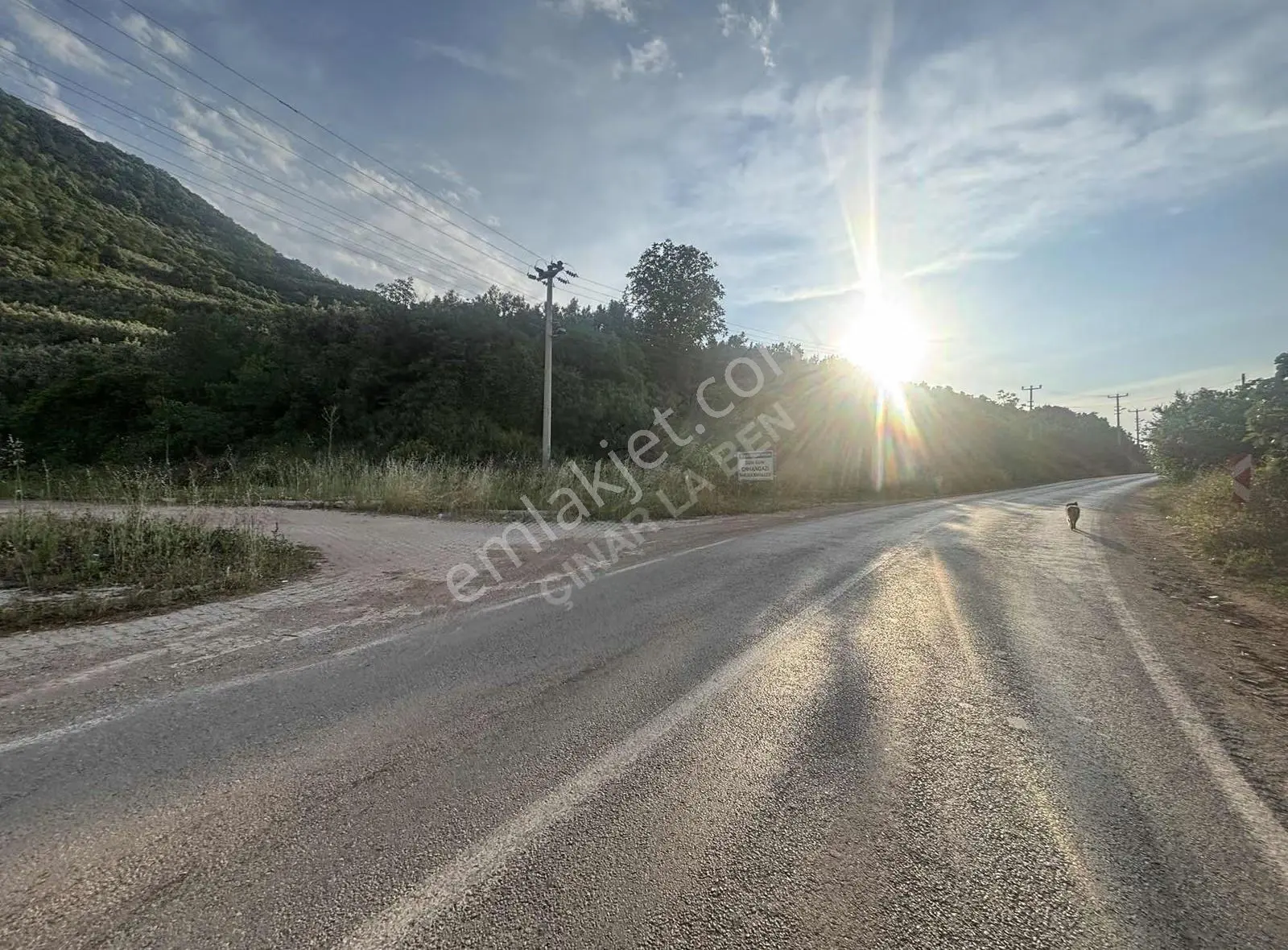 Asfalt Cepheli İmar Sınırı Göl Manzaralı 1100 M² Zeytinlik - Görsel 5