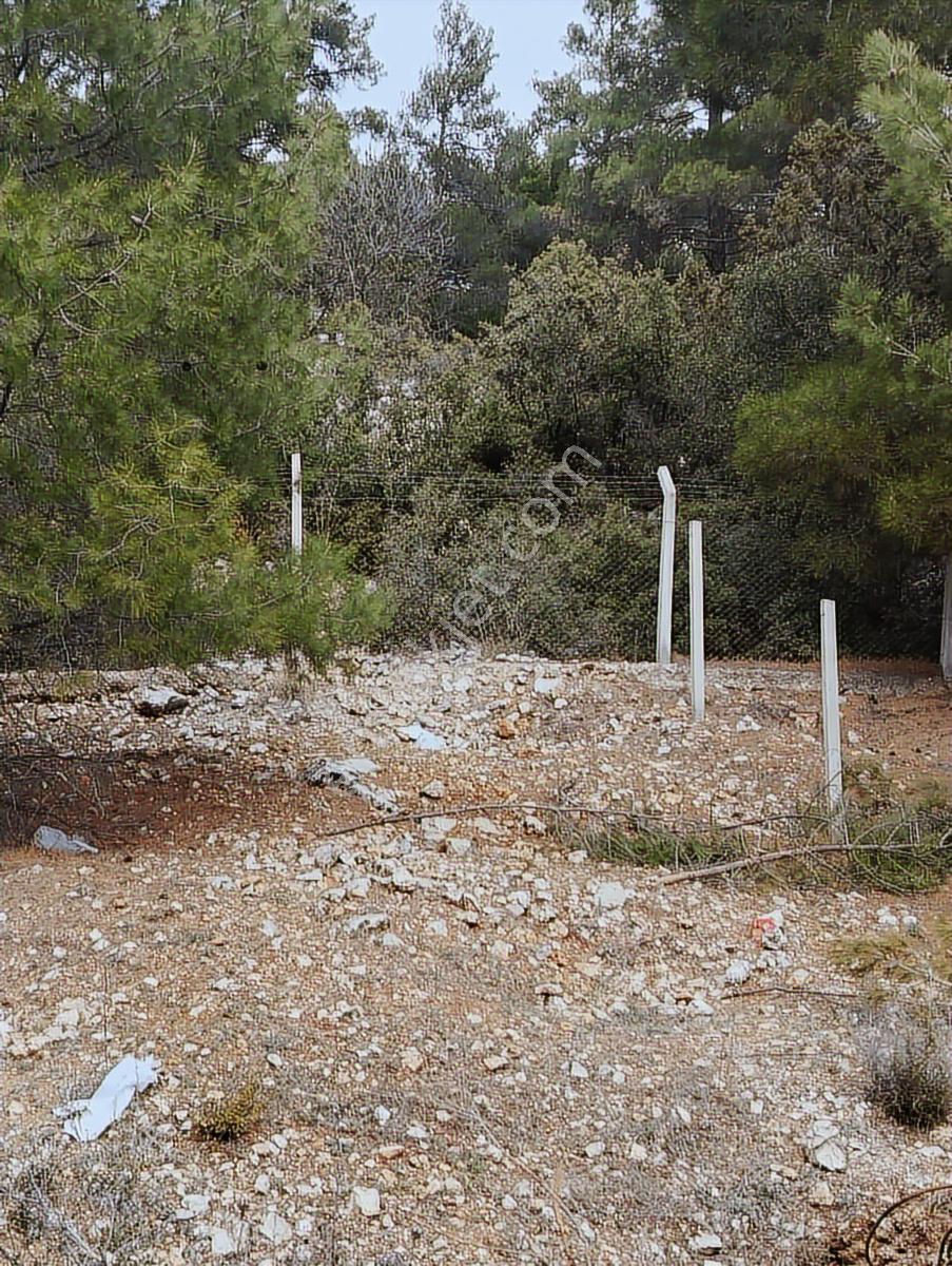 Antalya'ya 30 Km. Korkuteli Yolunda Orman İçinde Villa Arsası - Görsel 2