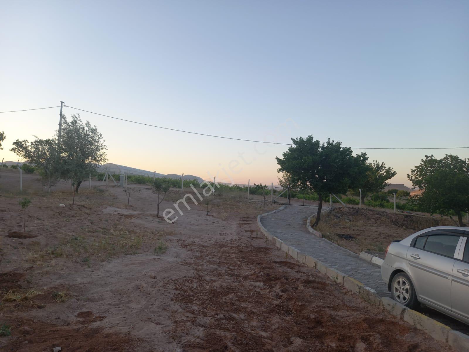 Asen Gayrimenkulden Çat İstiklalde Satılık 5000 Mt Evli Bağ - Görsel 9