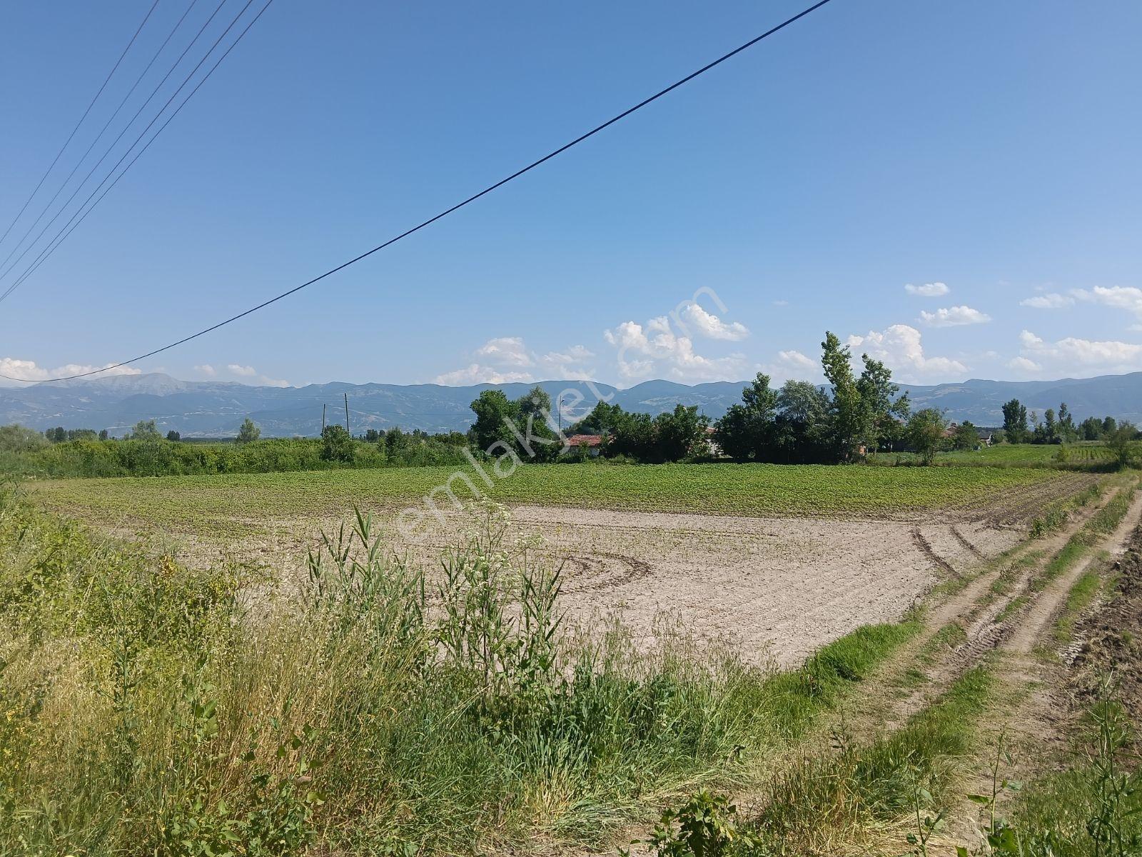 Arena Emlak'tan Tokat Turhal Yoluna Cephe 585 M2 Hesaplı Tarla - Görsel 11