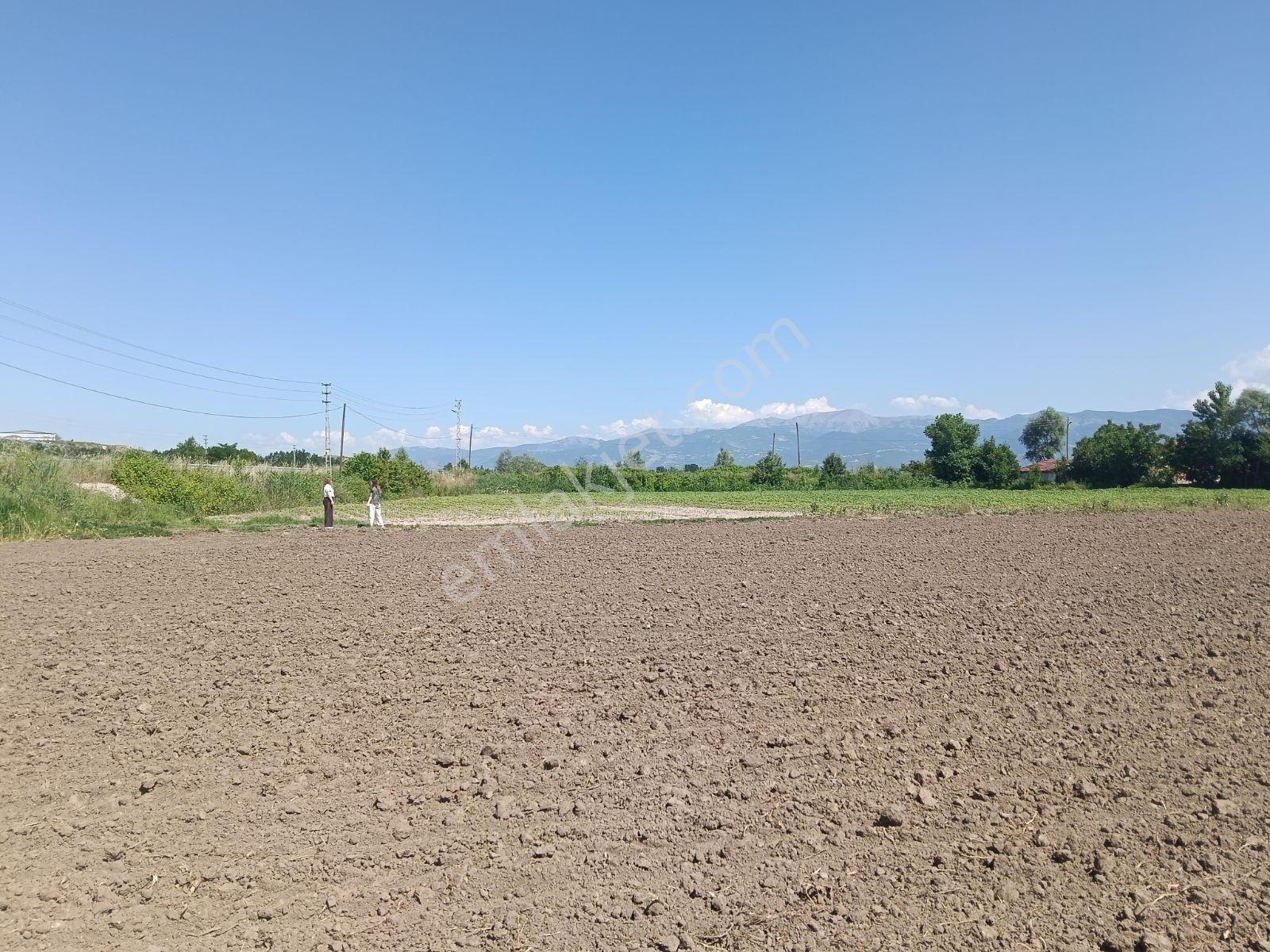 Arena Emlak'tan Tokat Turhal Yoluna Cephe 585 M2 Hesaplı Tarla - Görsel 9