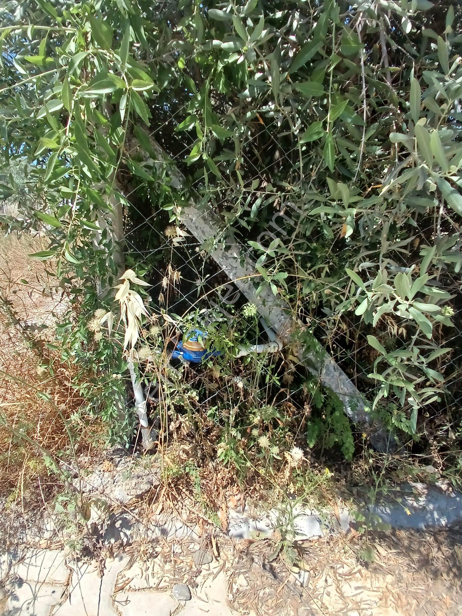 Belenbaşı’nda Yatırımlık 245 M² Satılık Kooperatif Hissesi - Görsel 10