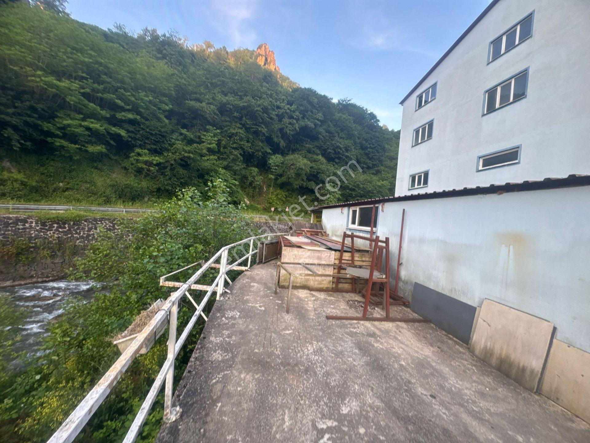 İnanç Emlaktan Giresun Sayca Köyü Manar Mevkiinde 1200 M2 Kiralık İmalathane - Görsel 19
