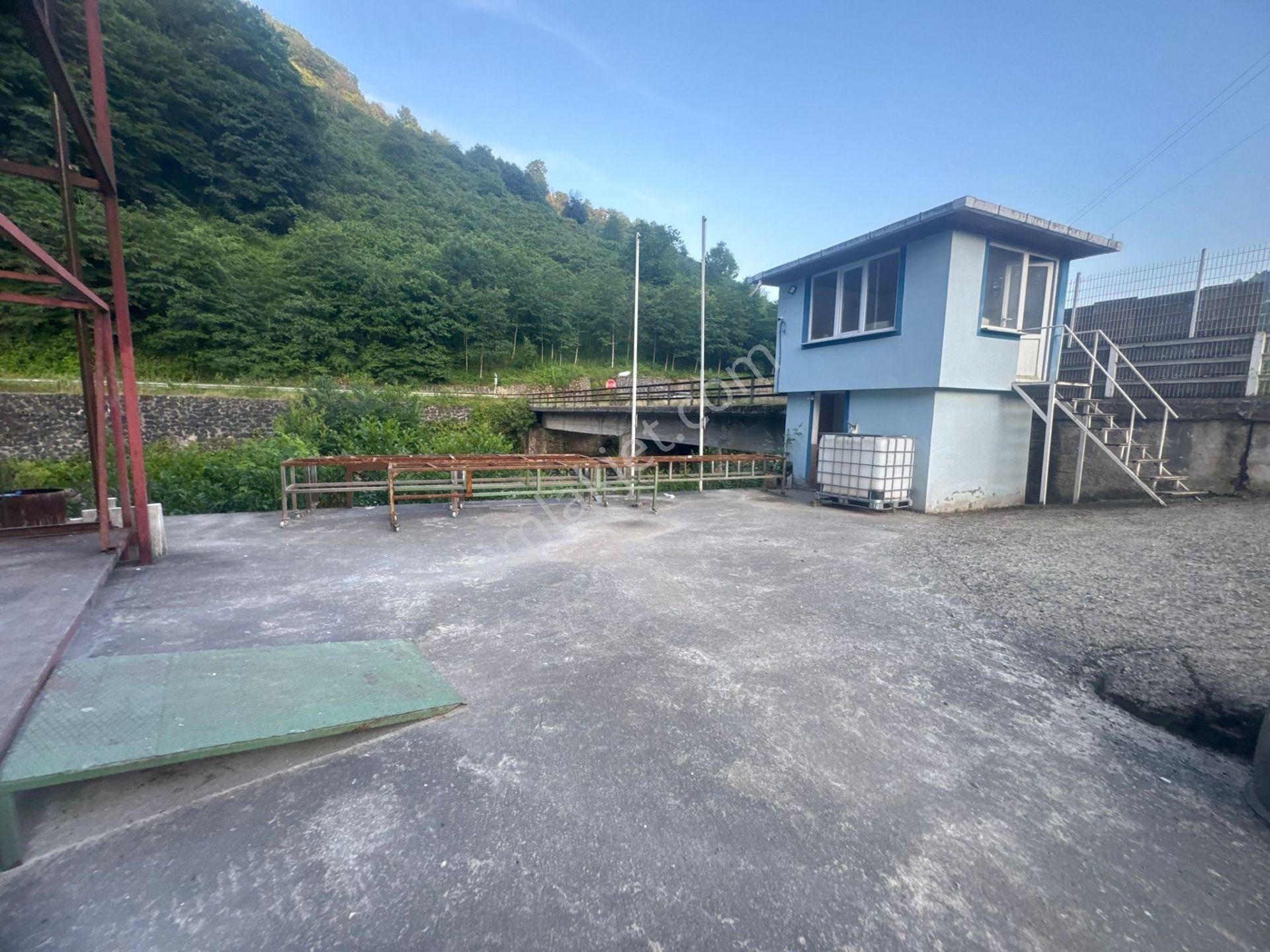 İnanç Emlaktan Giresun Sayca Köyü Manar Mevkiinde 1200 M2 Kiralık İmalathane - Görsel 15