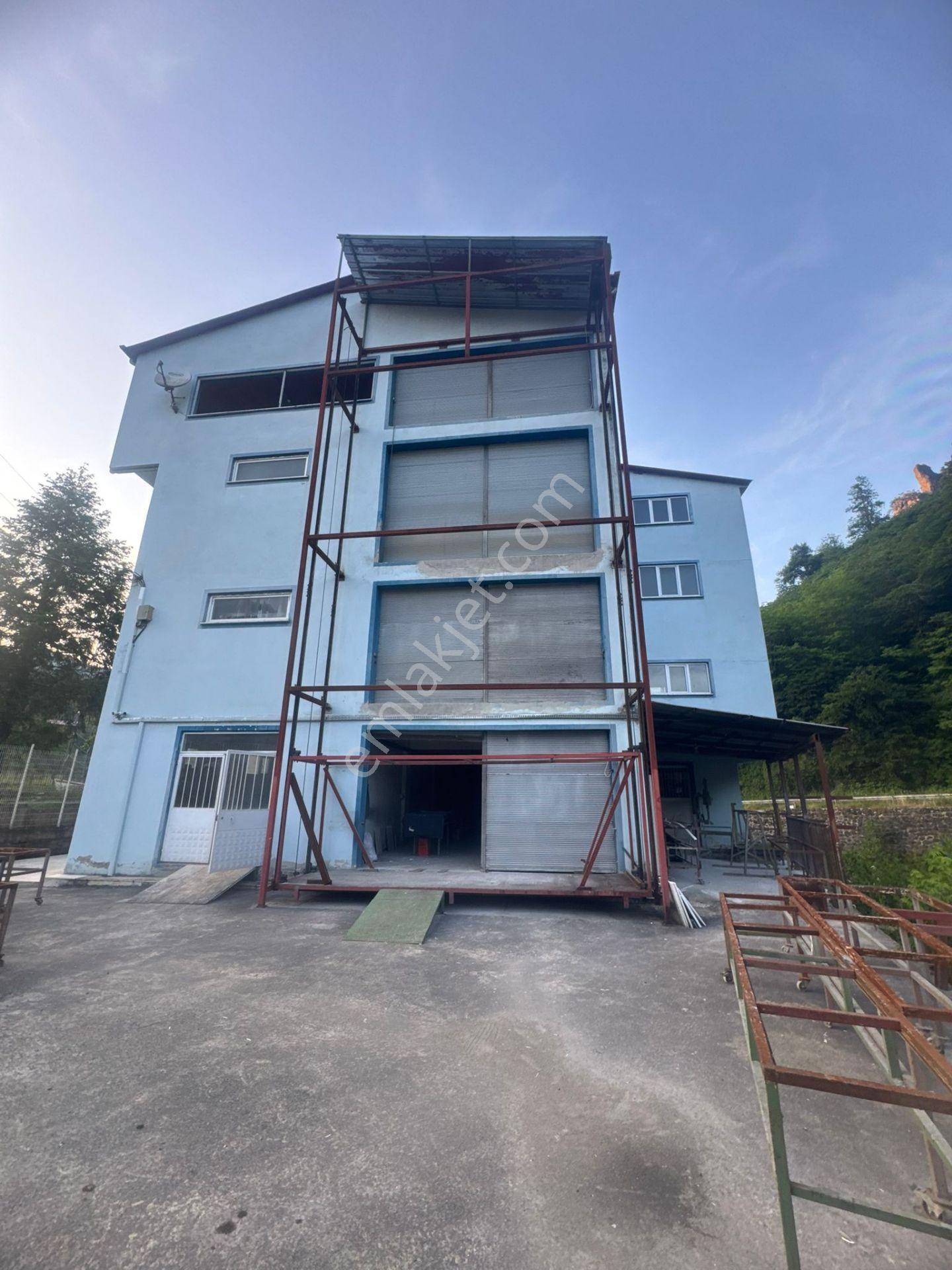 İnanç Emlaktan Giresun Sayca Köyü Manar Mevkiinde 1200 M2 Kiralık İmalathane - Görsel 16
