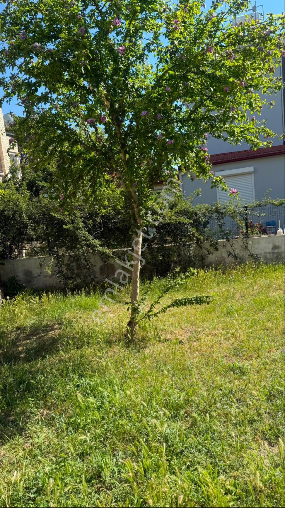 ✨ Davutlar’da Denize 150 Metre Geniş Bahçeli 3+1 Müstakil Villa - Görsel 30