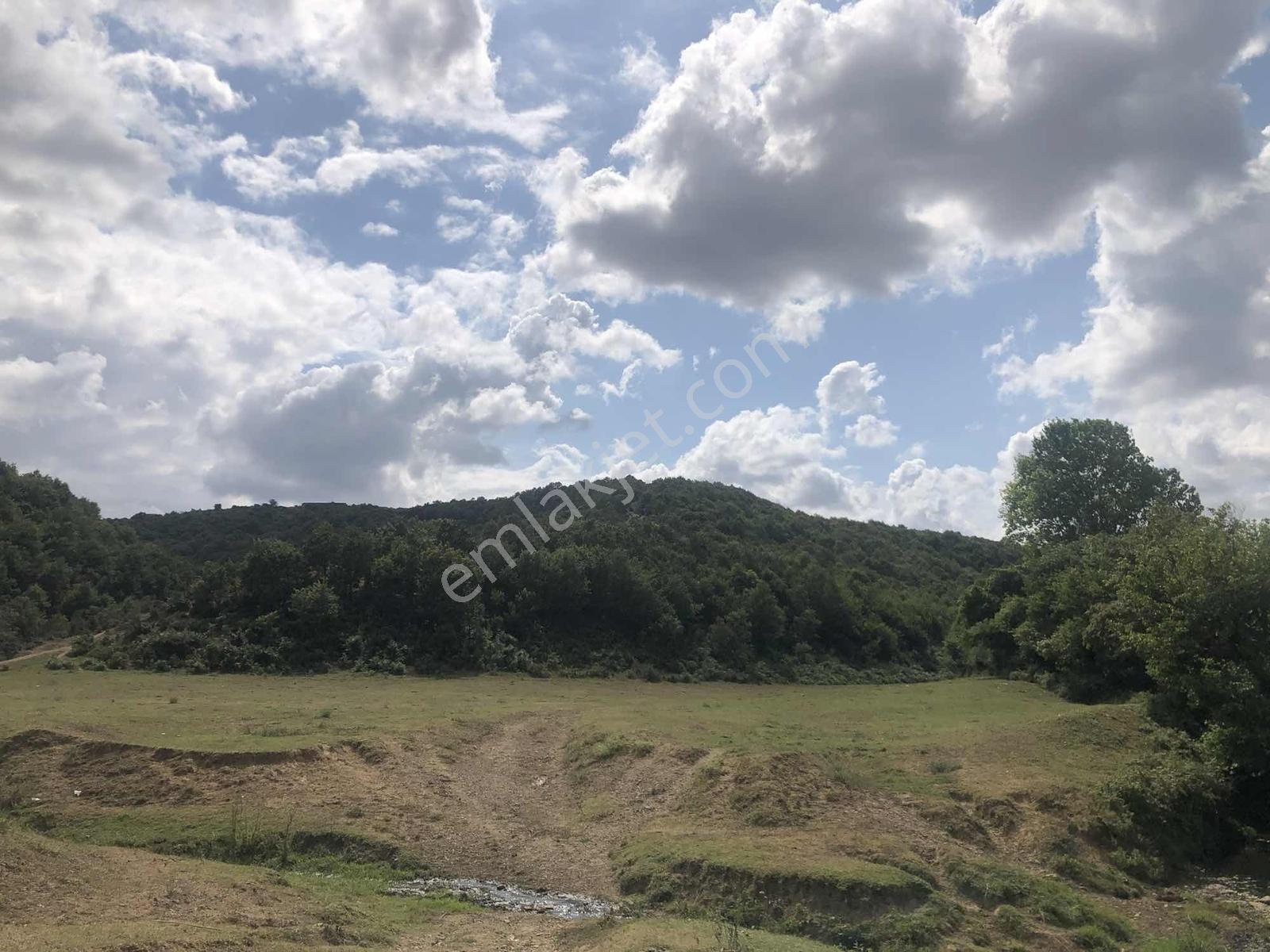 4300 M2 Doğanın Kalbinde Şehrin Merkezinde Eşsiz Yatırım! - Görsel 5