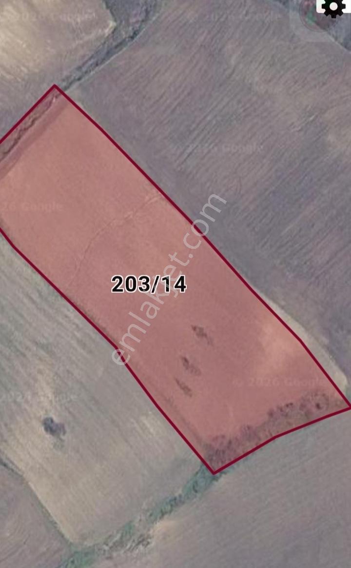 Gelibolu Ocaklı Köyü - Güneyli Köyü Arasında 14.555 M2 Satılık - Görsel 3