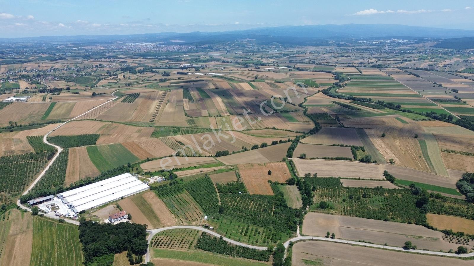 Fındıklı Köyünde Mega Osb Projesine 200m Mesafede Kupon Tarla - Görsel 10