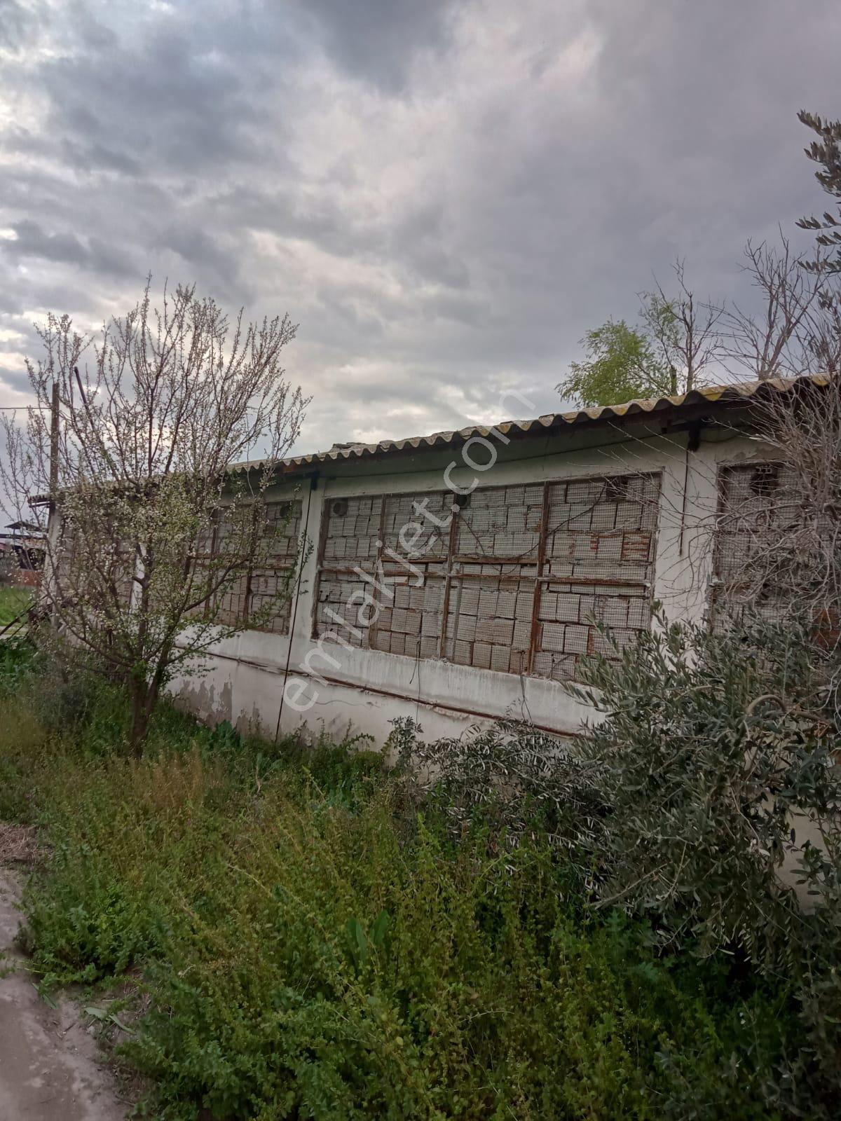 Yılmaz Mahallesinde Satılık Çiftlik Ve Evi - Görsel 17