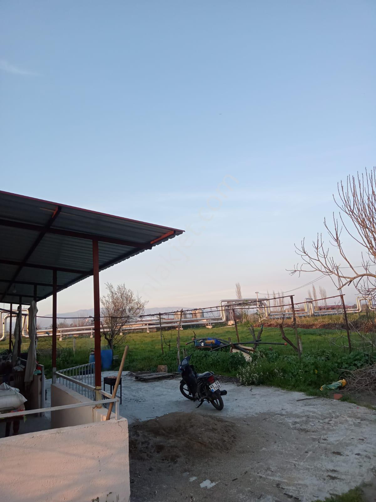 Yılmaz Mahallesinde Satılık Çiftlik Ve Evi - Görsel 18