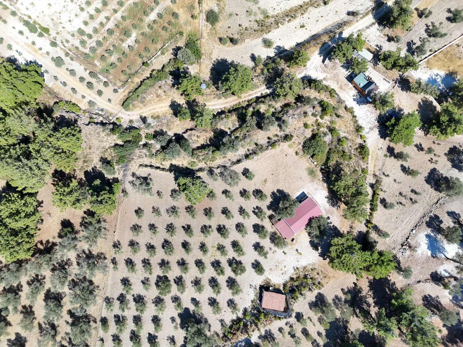 Atlas Gayrımenkul'den Deniz Manzaralı Tarla - Görsel 15