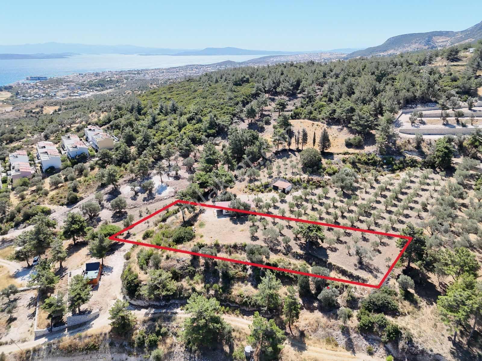 Atlas Gayrımenkul'den Deniz Manzaralı Tarla - Görsel 6