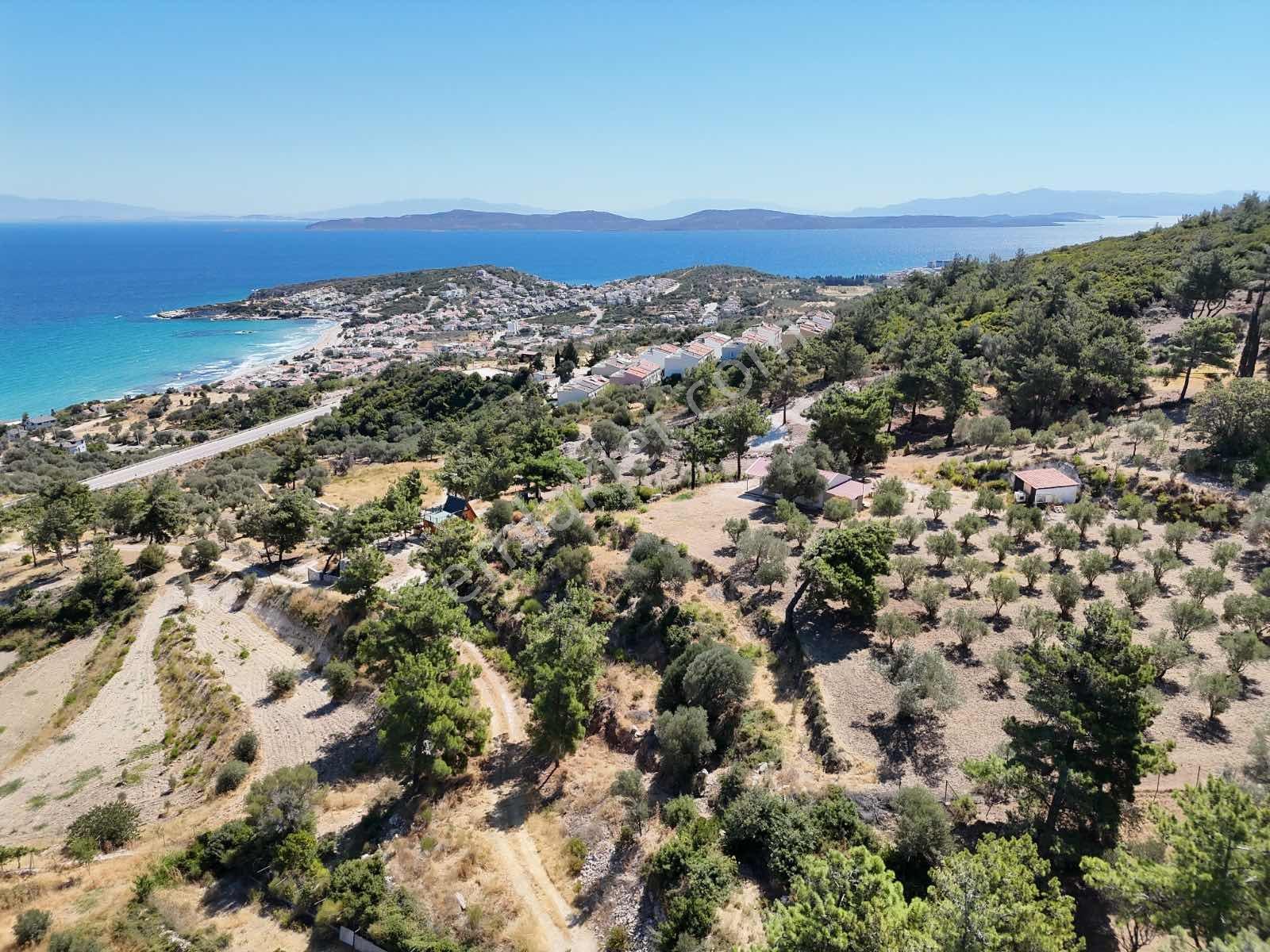 Atlas Gayrımenkul'den Deniz Manzaralı Tarla - Görsel 12