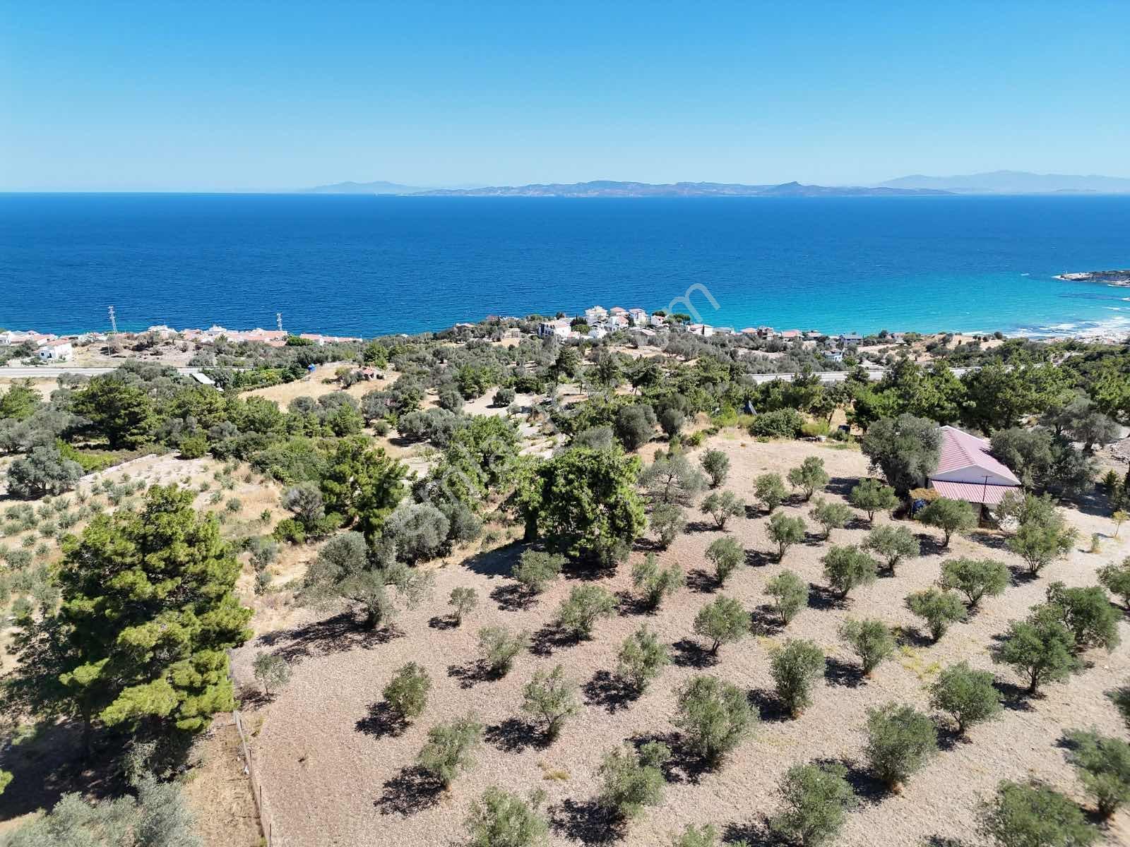 Atlas Gayrımenkul'den Deniz Manzaralı Tarla - Görsel 8