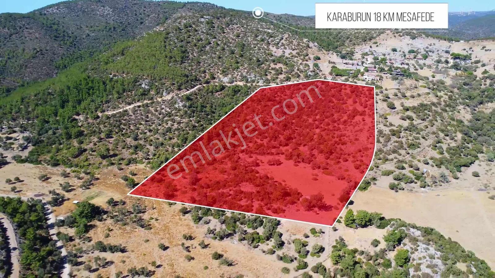 Atlas Gayrimenkulden Satılık Eşsiz Çiftlik - Görsel 23