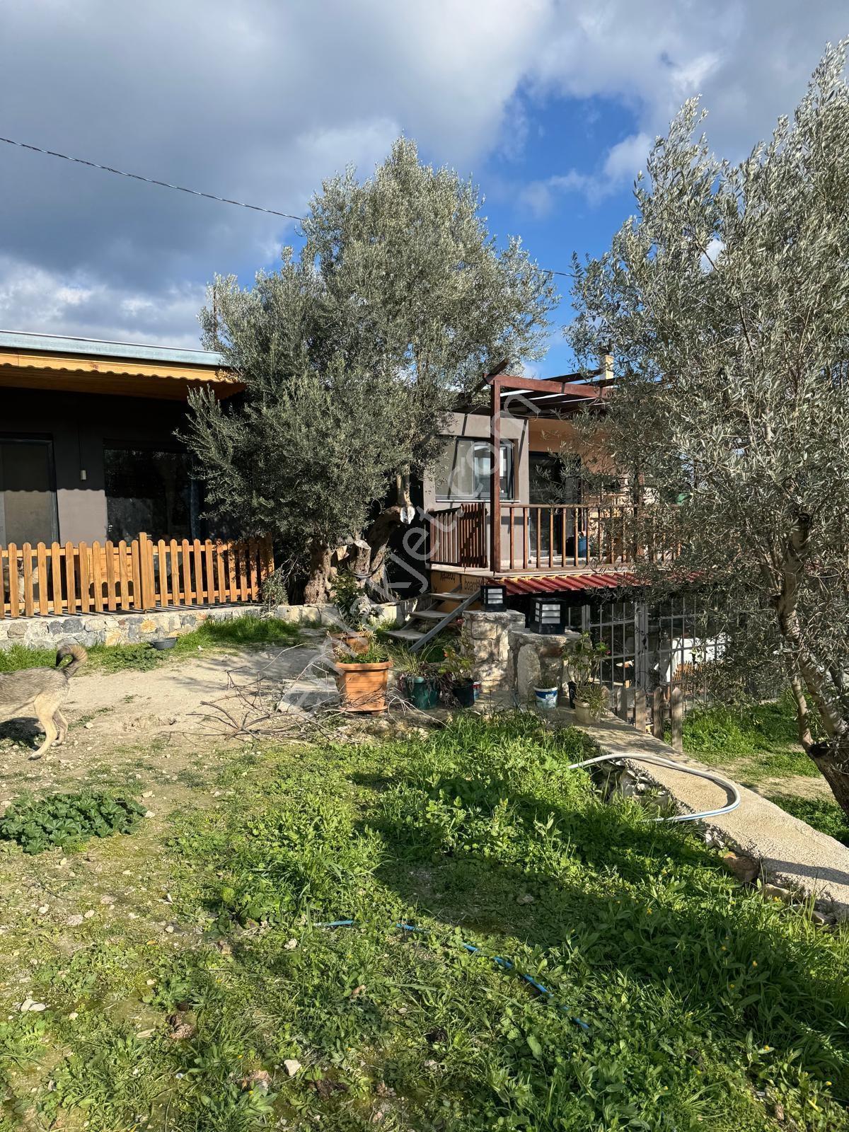 Karaburun İnecik Mahallesinde Kiralık 1+1 Full Eşyalı Daire - Görsel 8