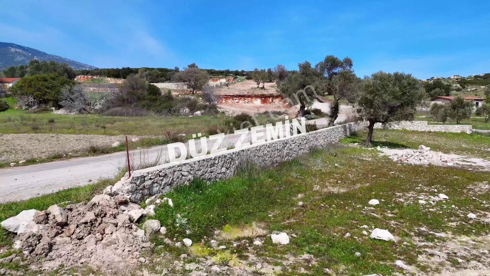 Atlas Gayrimenkul'den 2.672 M2 Asfalt Yol Cepheli Tarla - Görsel 7