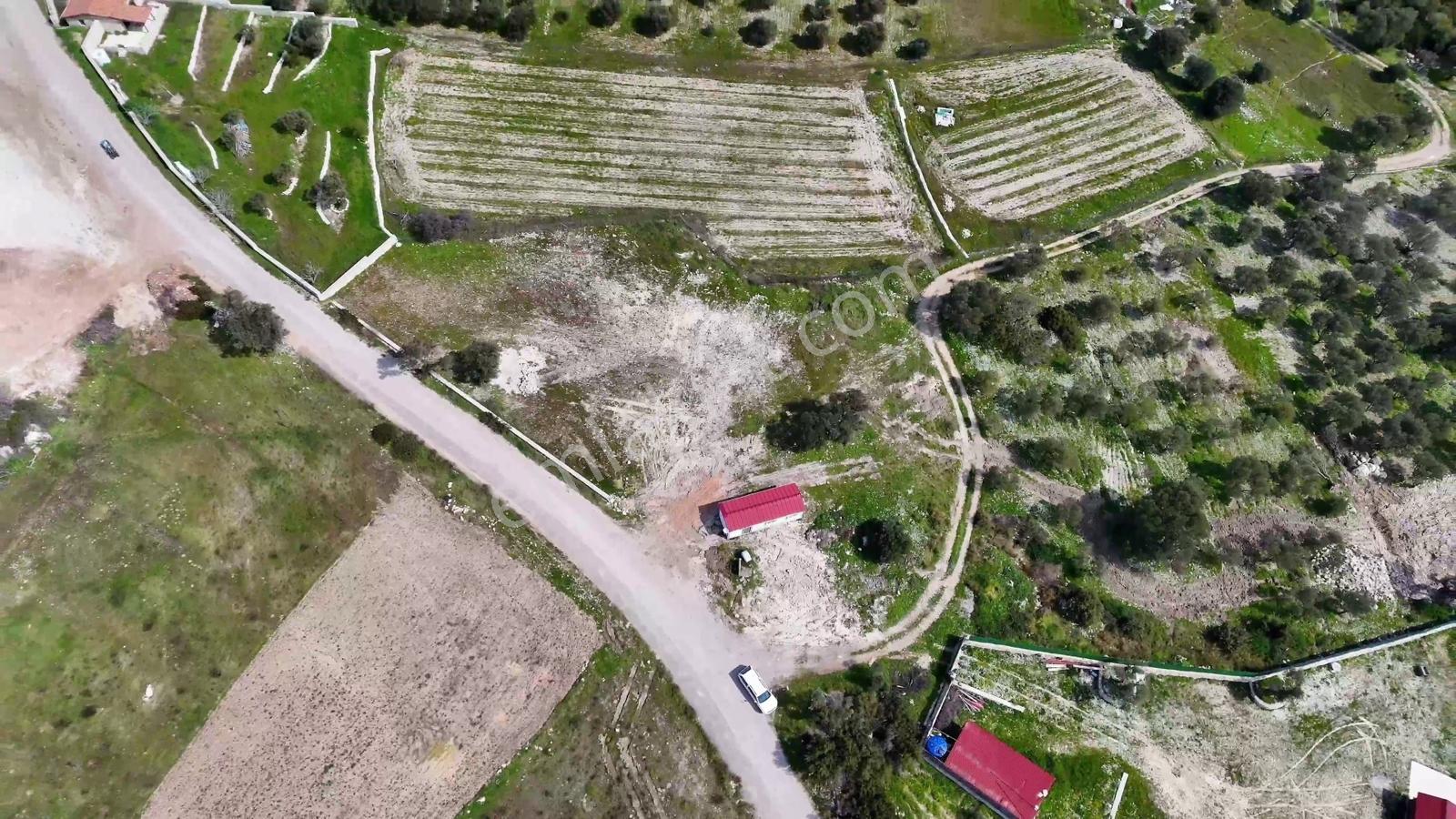 Atlas Gayrimenkul'den 2.672 M2 Asfalt Yol Cepheli Tarla - Görsel 4
