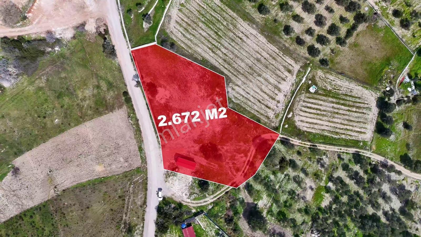 Atlas Gayrimenkul'den 2.672 M2 Asfalt Yol Cepheli Tarla - Görsel 5