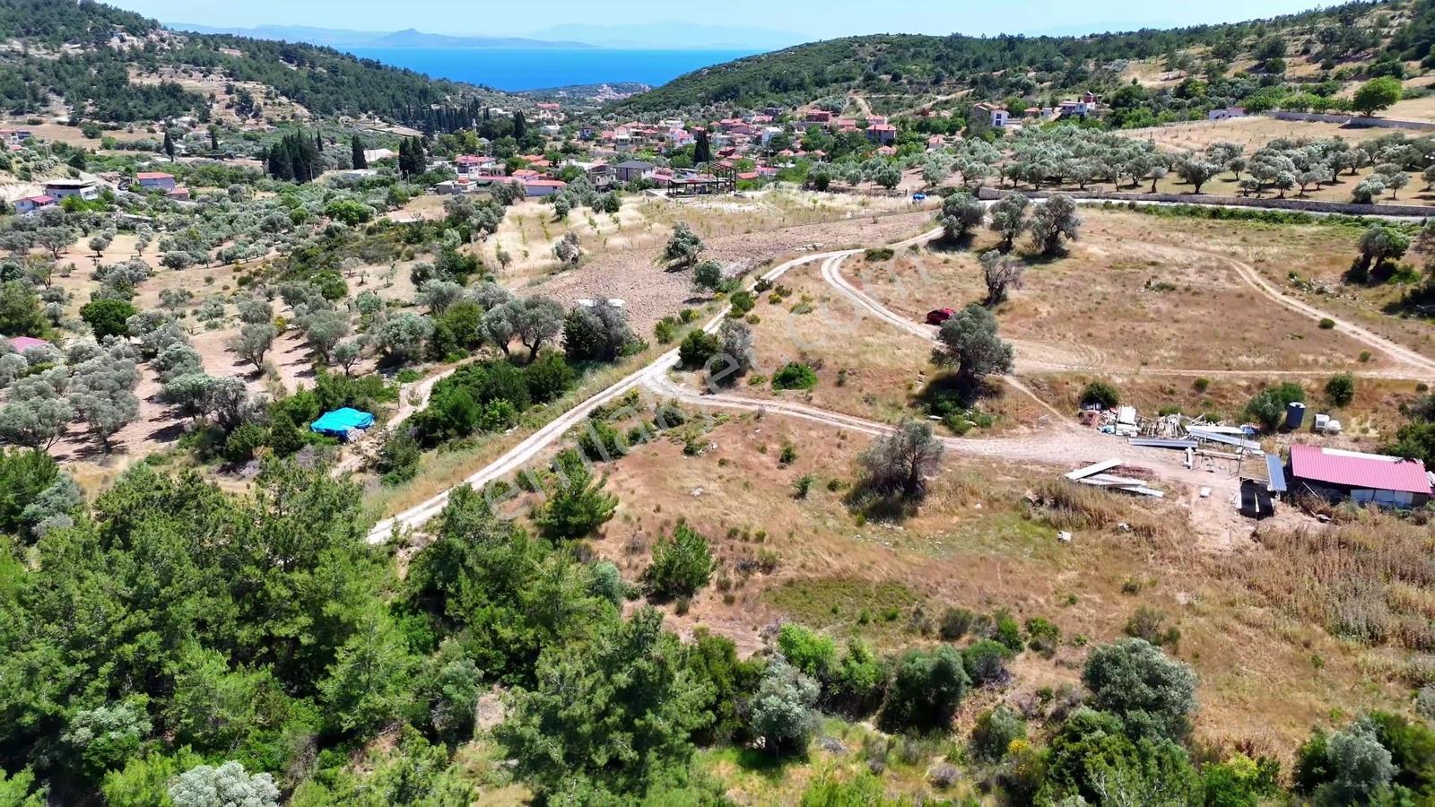 Mordoğan Köyüne 200 Metre Mesafe Kadastral Yol Cepheli 3.646 M2 - Görsel 19