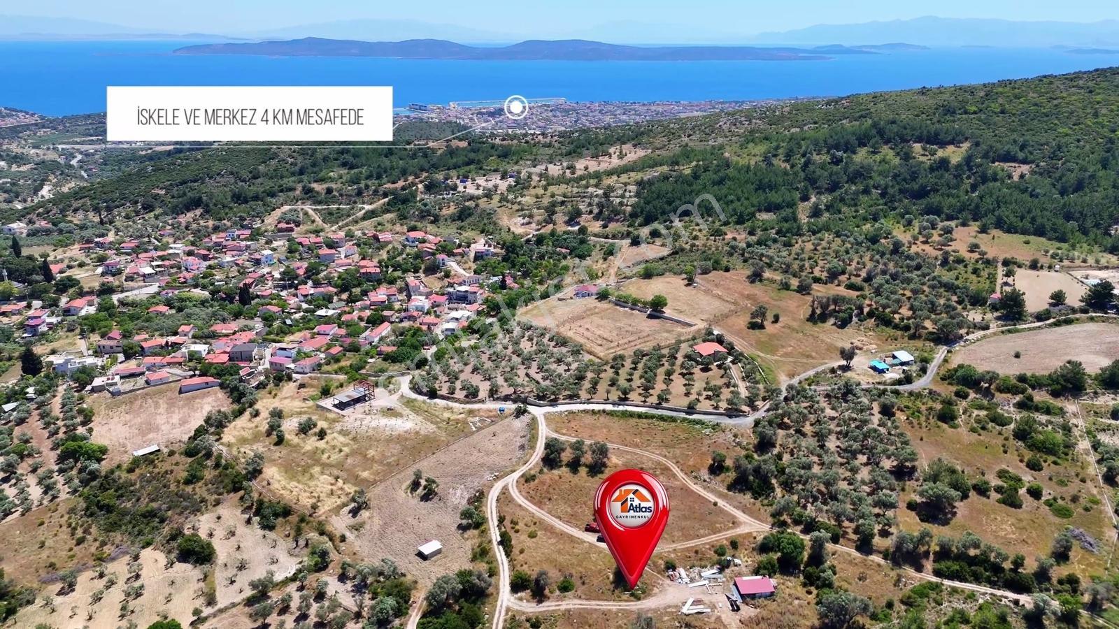 Mordoğan Köyüne 200 Metre Mesafe Kadastral Yol Cepheli 3.646 M2 - Görsel 15