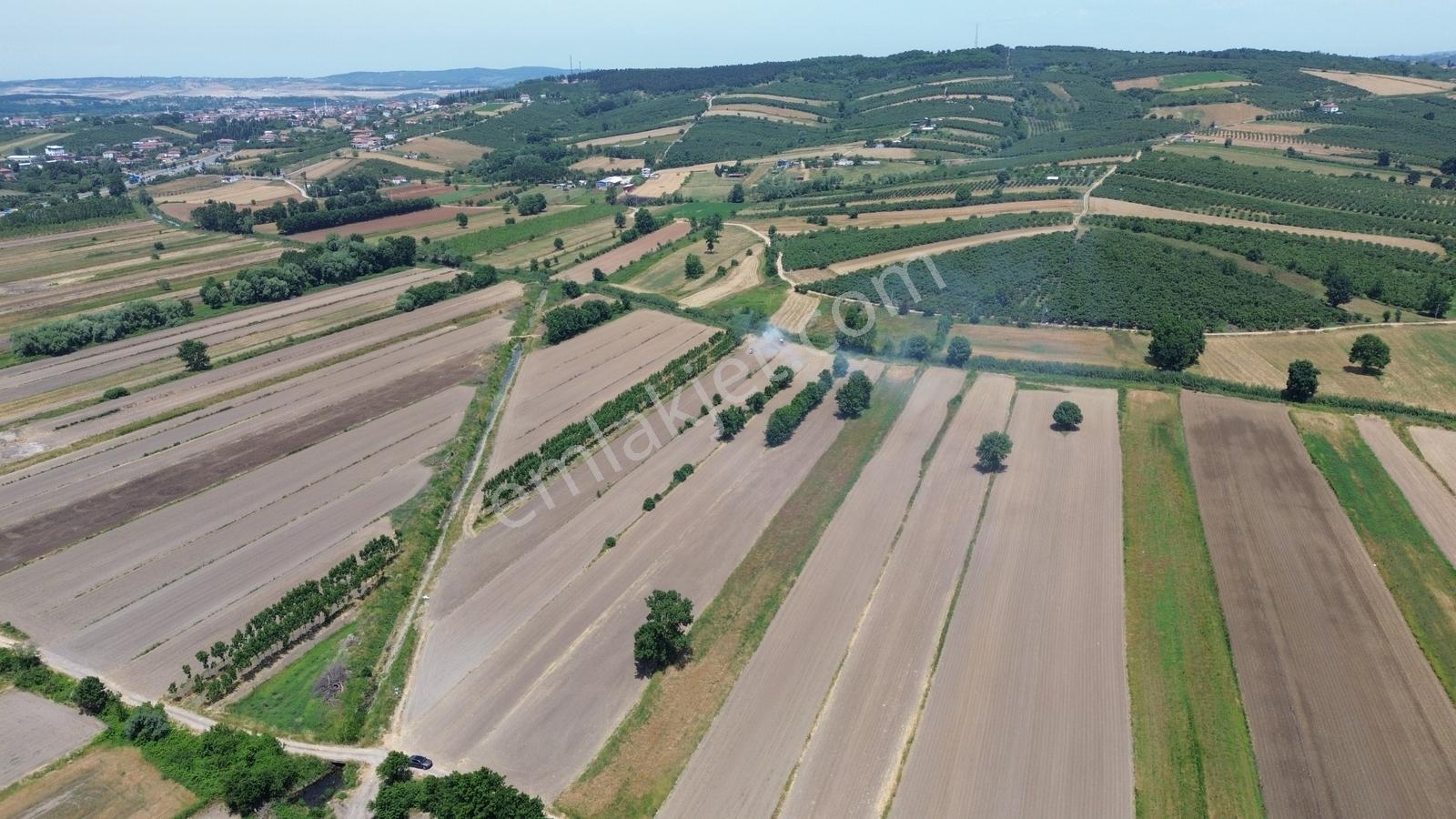 Söğütlü Mahallesinde Resmi Yolu Olan Yatırımın Merkezinde 5260m2 - Görsel 25