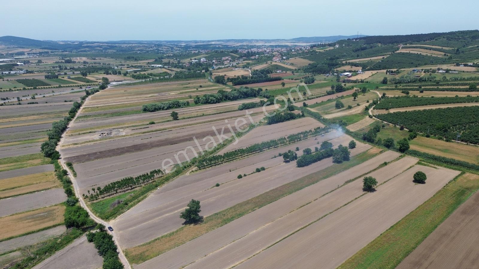 Söğütlü Mahallesinde Resmi Yolu Olan Yatırımın Merkezinde 5260m2 - Görsel 21