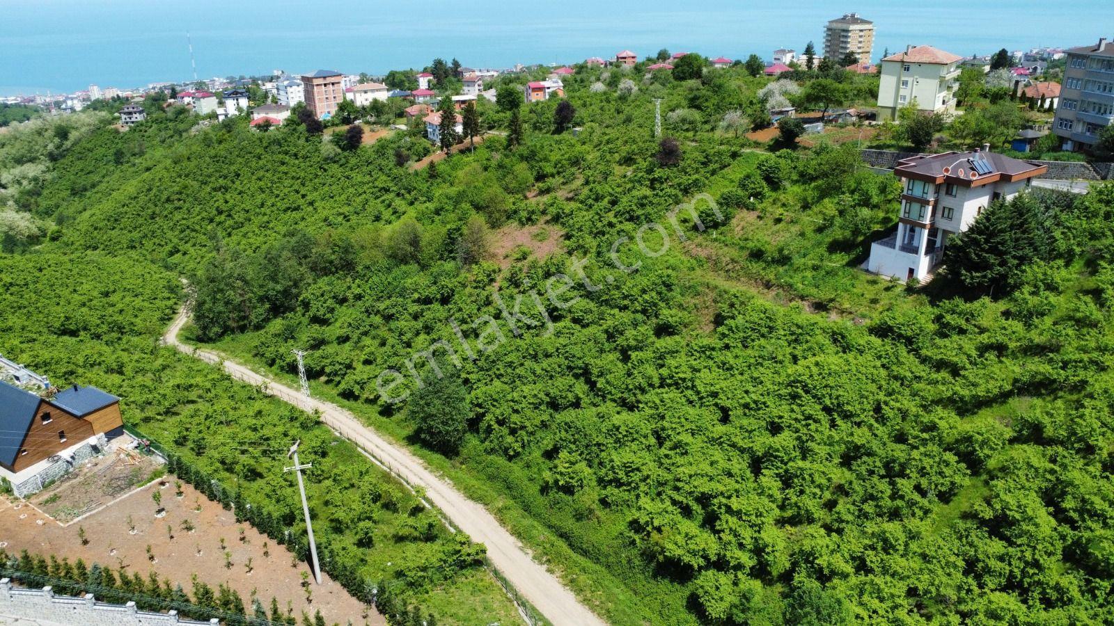 Trabzon Ortahisar Bulak'ta Satılık Arazi - Görsel 14