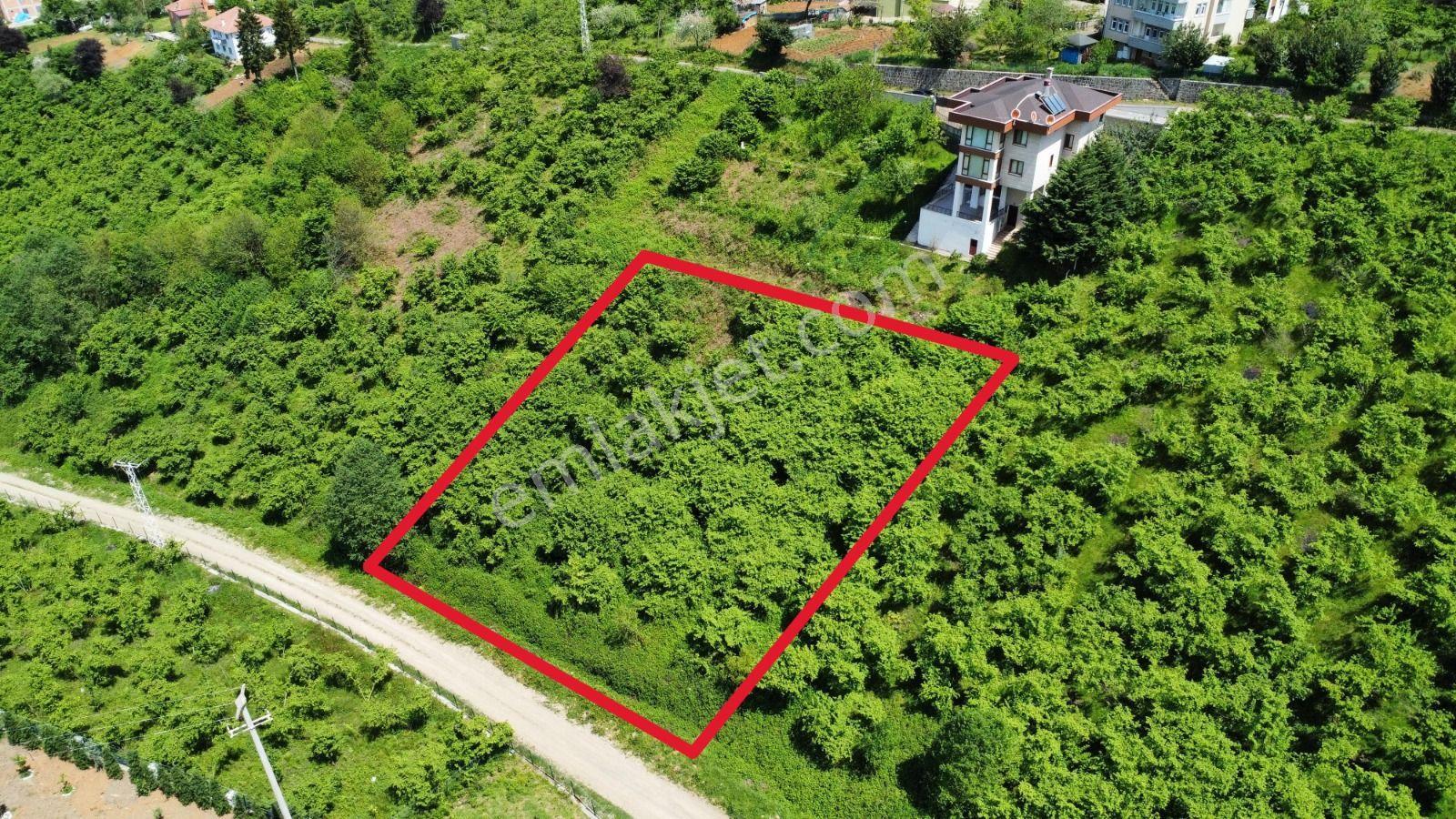 Trabzon Ortahisar Bulak'ta Satılık Arazi - Görsel 4